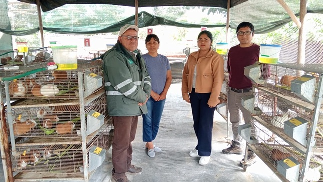 MPH fortalece capacidades de productores locales en crianza de cuyes 