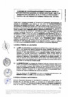 Vista preliminar de documento Convenio N° 009-2020/SBN