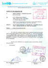 Vista preliminar de documento BASES DEL D.L. 728