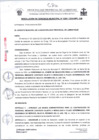 Vista preliminar de documento BASES DL728-2024