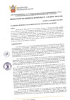Vista preliminar de documento RGM1182024MPA