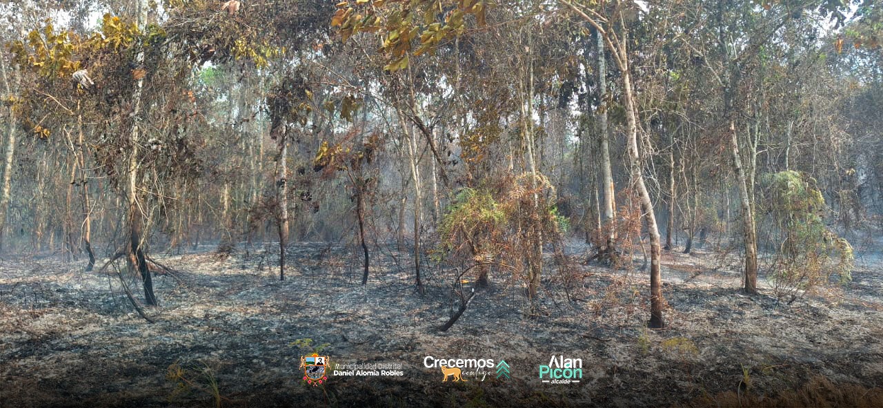 incendio forestal