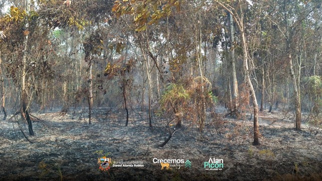 incendio forestal