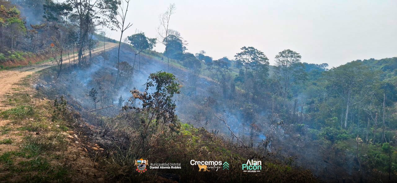 incendio forestal