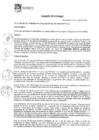 Vista preliminar de documento Acuerdo de Concejo SN - Minera Luren S.A.