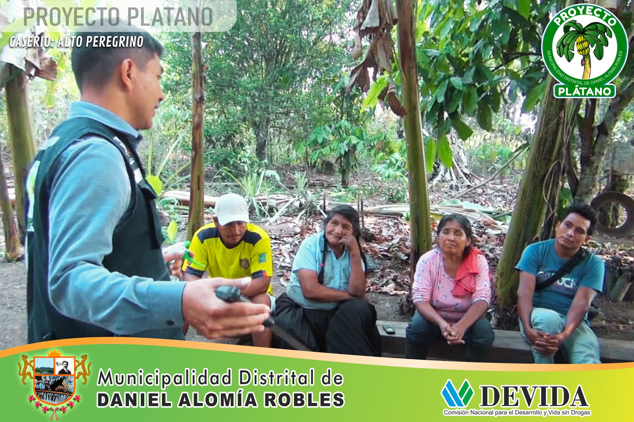 Proyecto plΓ‘tano