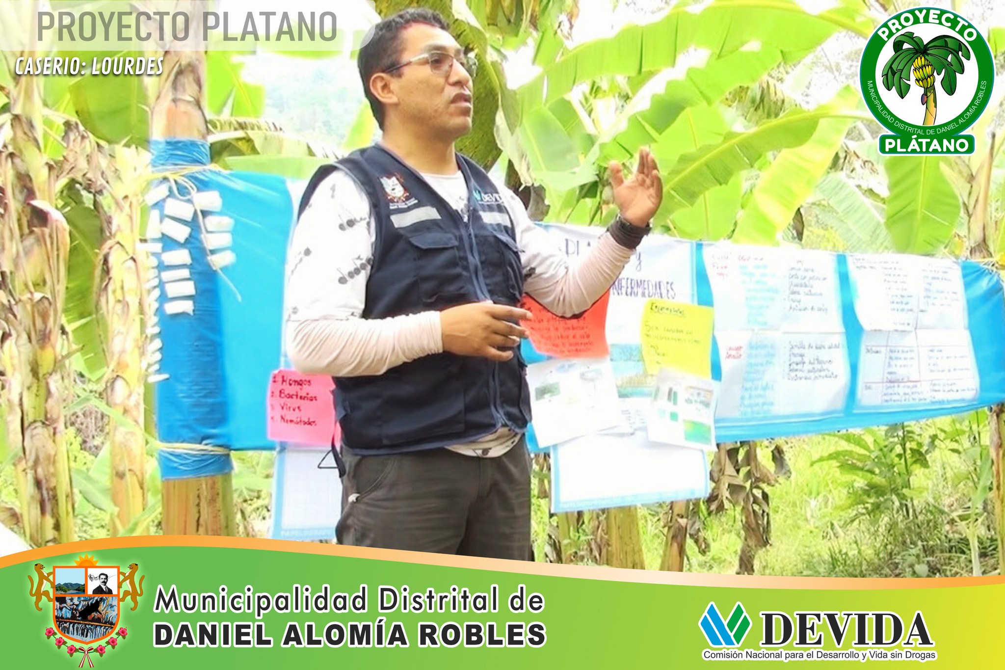Proyecto plΓ‘tano