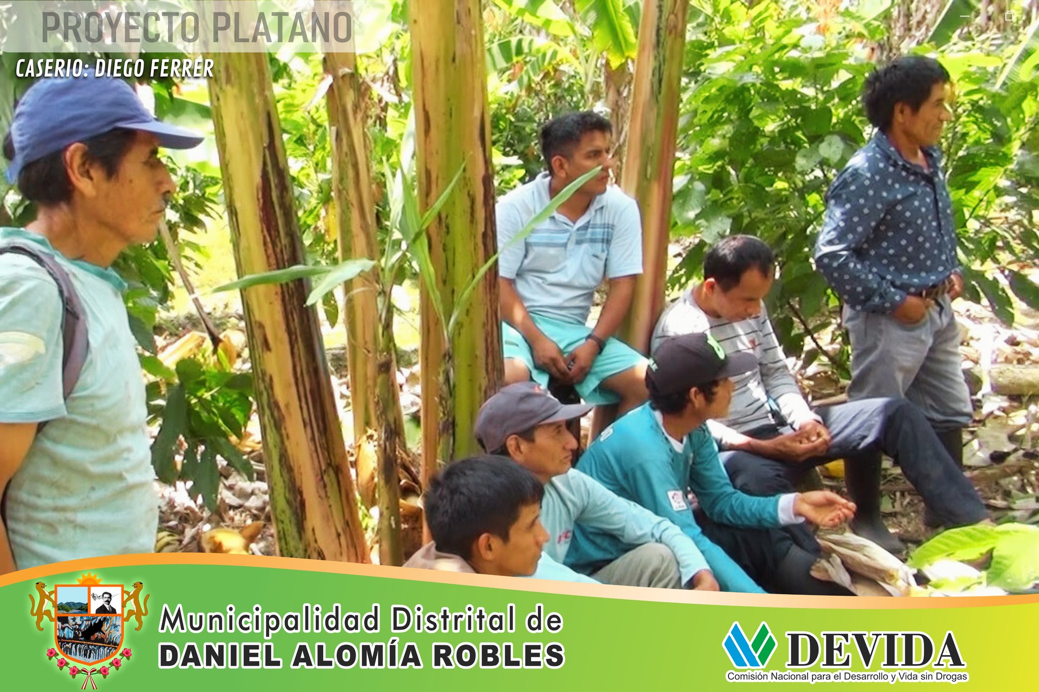 Proyecto plΓ‘tano