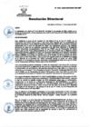 Vista preliminar de documento RD Nº 232-2024-DGINSM-HD-HN