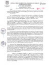 Vista preliminar de documento RESOLUCION DE GERENCIA DESARROLLO URBANO E INFRAESTRUCTURA N°118-2024-GDUI-MDP/T