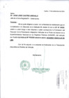 Vista preliminar de documento PIO539