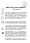Vista preliminar de documento RER 497-2024-GOB