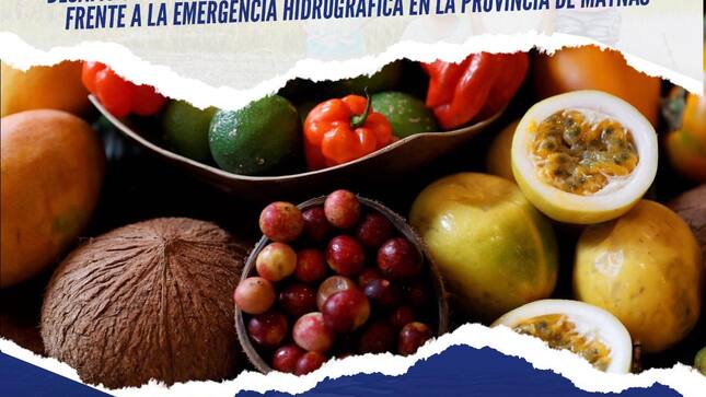 archivo en imagen