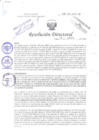 Vista preliminar de documento RD-300-DG-INMP-2009