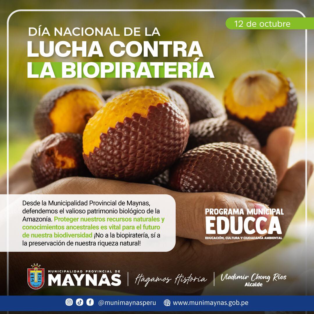 Archivo imagen