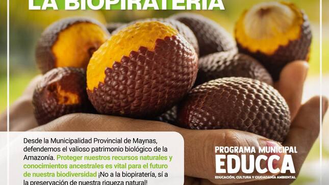 Archivo imagen