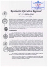 Vista preliminar de documento RER 513-2024-GOB