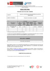Vista preliminar de documento CAS N047-2024_RF