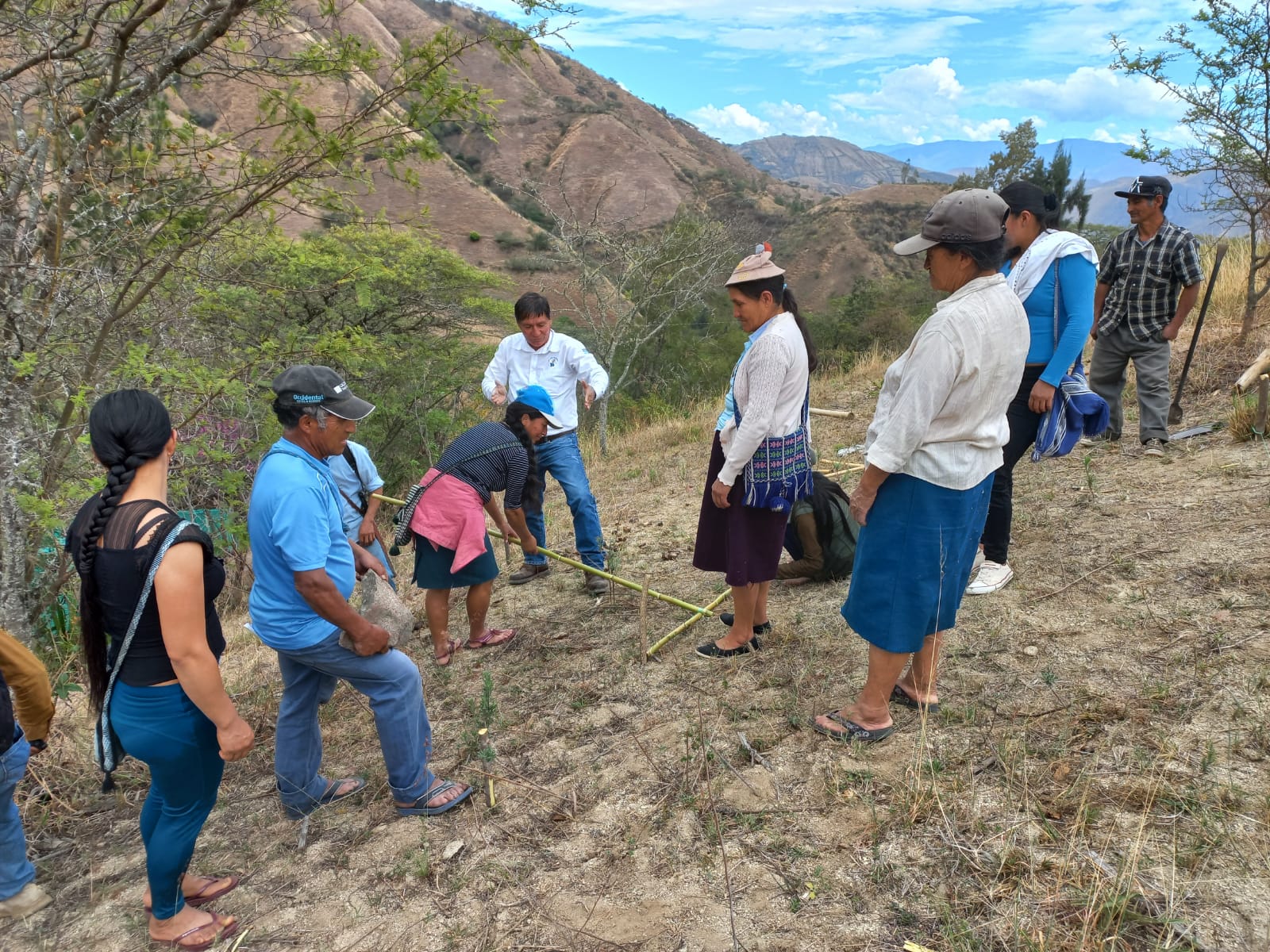 Pacaipampa: Gobierno Regional capacita a productores de Curilcas en trasplante de café