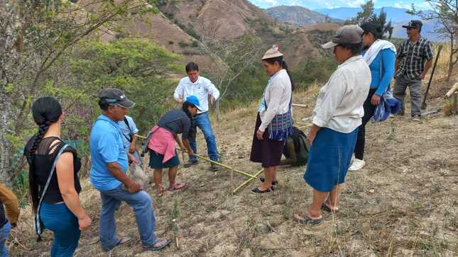 Pacaipampa: Gobierno Regional capacita a productores de Curilcas en trasplante de café