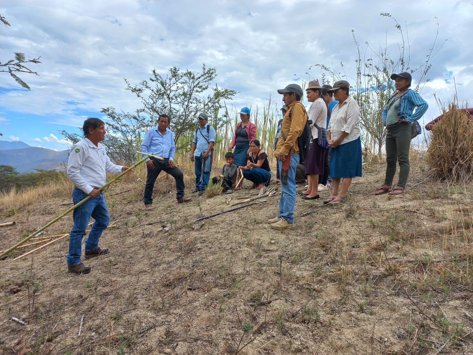 Pacaipampa: Gobierno Regional capacita a productores de Curilcas en trasplante de café