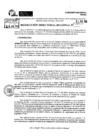 Vista preliminar de documento RDR 8905-2024