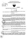 Vista preliminar de documento RDR 8919-2024