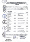 Vista preliminar de documento Audiencia Pública