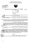 Vista preliminar de documento RDR 8932-2024