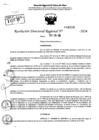 Vista preliminar de documento RDR 8933-2024