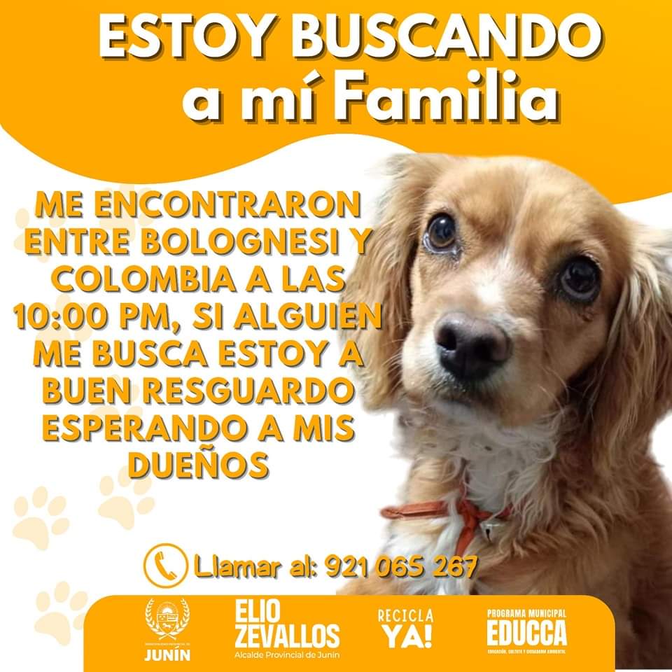 Perro con información al lado. 