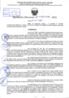Vista preliminar de documento R.D 1916-2024