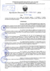Vista preliminar de documento R.D 1917-2024