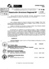 Vista preliminar de documento RDR 8945-2024