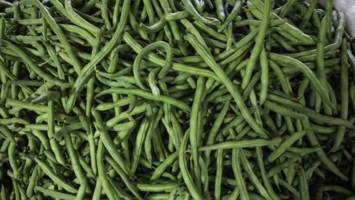 MIDAGRI