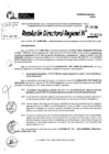 Vista preliminar de documento RDR 8948-2024