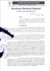 Vista preliminar de documento RDR 315-2024
