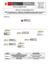 Vista preliminar de documento Directiva - Ejecucion coactiva F]