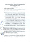 Vista preliminar de documento TUO DL 1034
