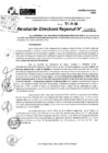 Vista preliminar de documento RDR 8953-2024