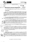 Vista preliminar de documento RDR 8957-2024