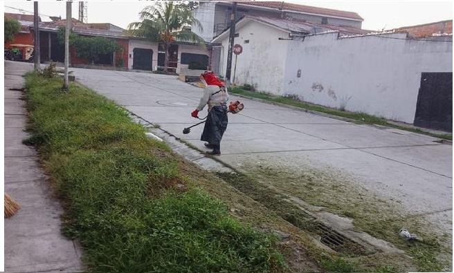 Labores de limpieza en la Urbanización Río Mar.