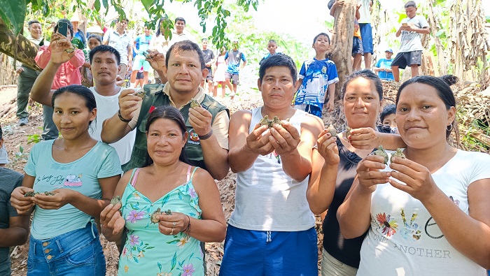 liberacion taricayas