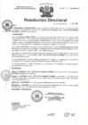Vista preliminar de documento R.D N° 292-2024-HMA-DG