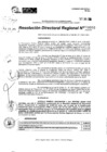 Vista preliminar de documento RDR 8960-2024