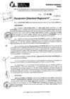 Vista preliminar de documento RDR 8963-2024
