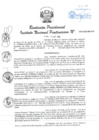 Vista preliminar de documento RP 252-2024