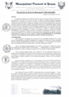 Vista preliminar de documento RGM0463-2024