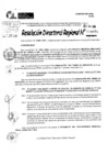 Vista preliminar de documento RDR 8975-2024