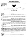 Vista preliminar de documento RDR 8979-2024